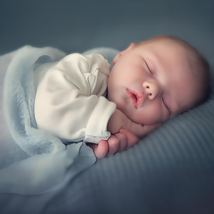 日本小视频在线
