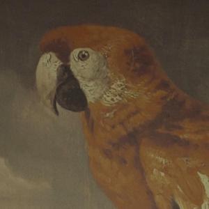 日本小视频在线
